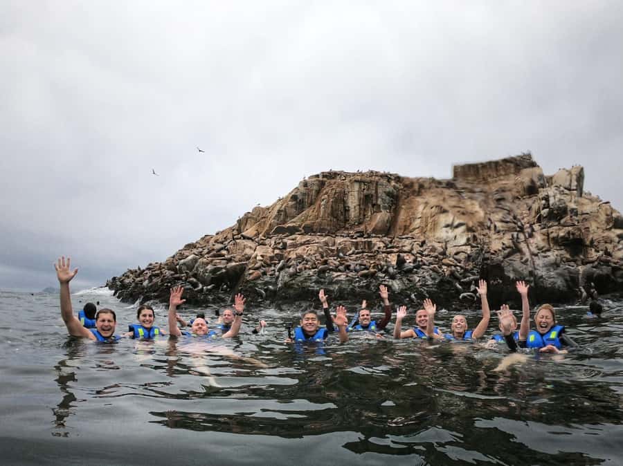 Callao: Swimming with Sea Lions Palomino Islands Boat Tour - The Palomino Island sea-lion swim: why this feels special