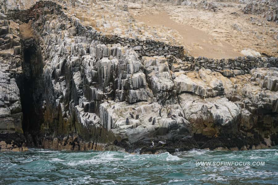 Callao: Swimming with Sea Lions Palomino Islands Boat Tour - Snacks and onboard comfort: small details that help