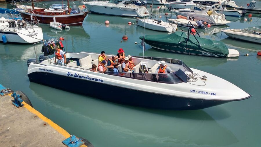 Callao: Swimming with Sea Lions Palomino Islands Boat Tour - Price and value: is $76 per person worth it?