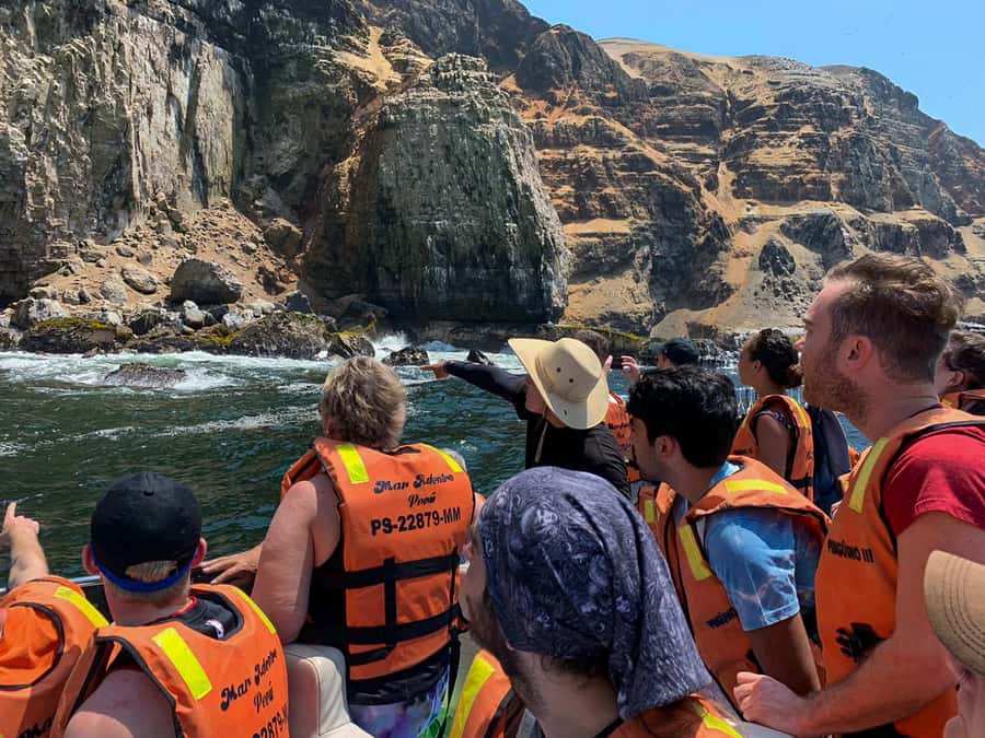 Callao: Swimming with Sea Lions Palomino Islands Boat Tour - From El Mirador to the islands: what the boat day actually looks like