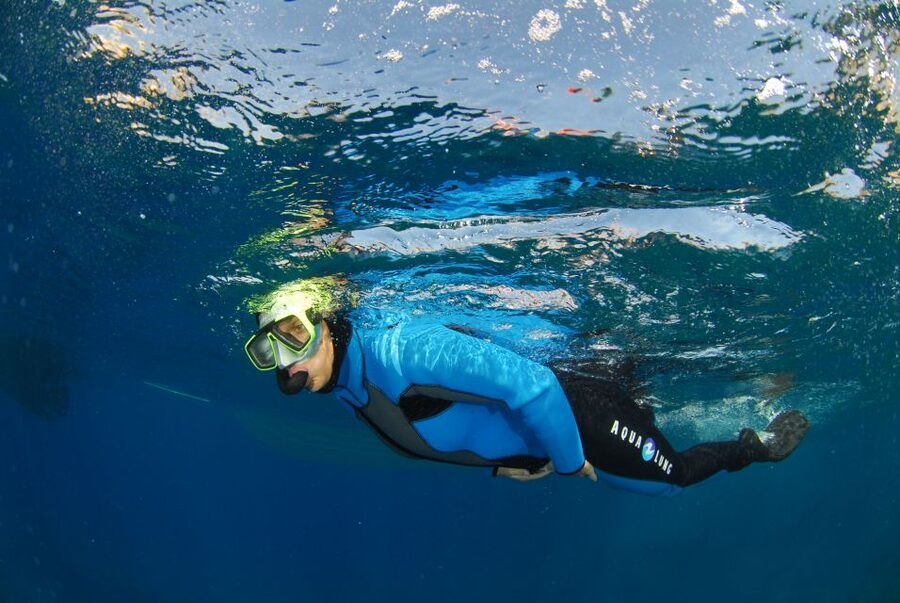 Calvi: Pointe de la Revellata Snorkeling Boat Tour - Should You Book the Calvi Snorkeling Boat Tour to Pointe de la Revellata?