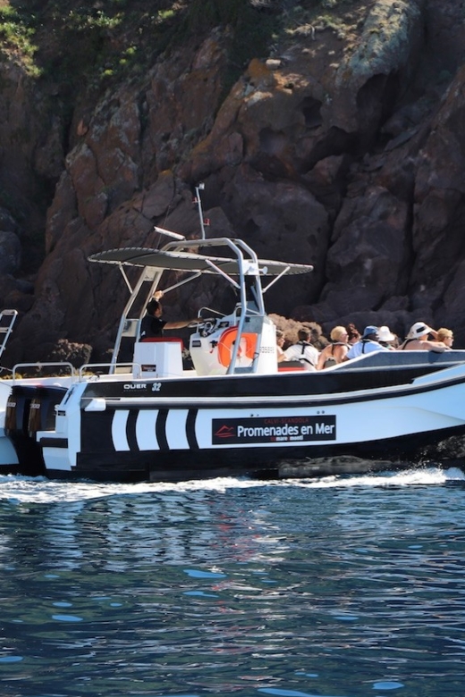 Calvi: Scandola and Girolata 6-Hour Boat Tour - A 6-hour west-coast cruise that starts in Calvi
