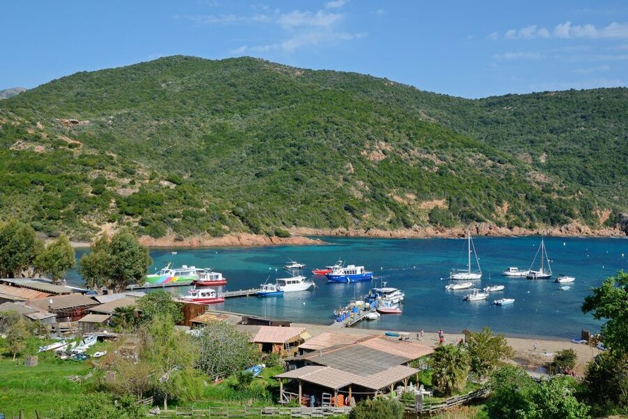 Calvi: Scandola and Girolata 6-Hour Boat Tour - Calvi citadel by boat: a warm-up for the big scenery ahead