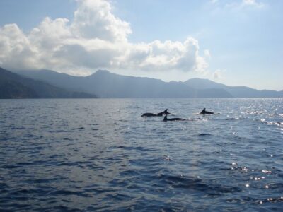 Calvi: Scandola and Girolata 6-Hour Boat Tour - Meeting the Santa Regina and getting the small-group advantage