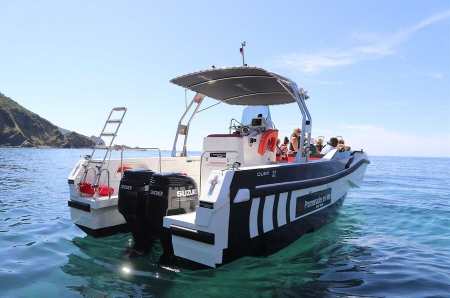 Calvi: Scandola and Girolata 6-Hour Boat Tour - Girolata’s 1-hour break: lunch plan or swim plan