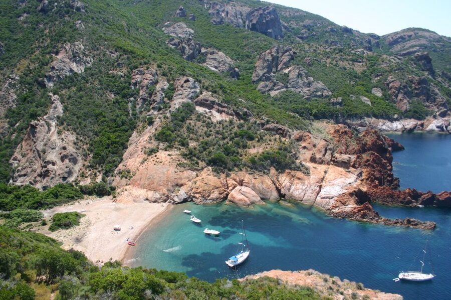 Calvi to Scandola: 4-Hour Boat Tour - Key reasons to consider this Calvi–Scandola boat tour
