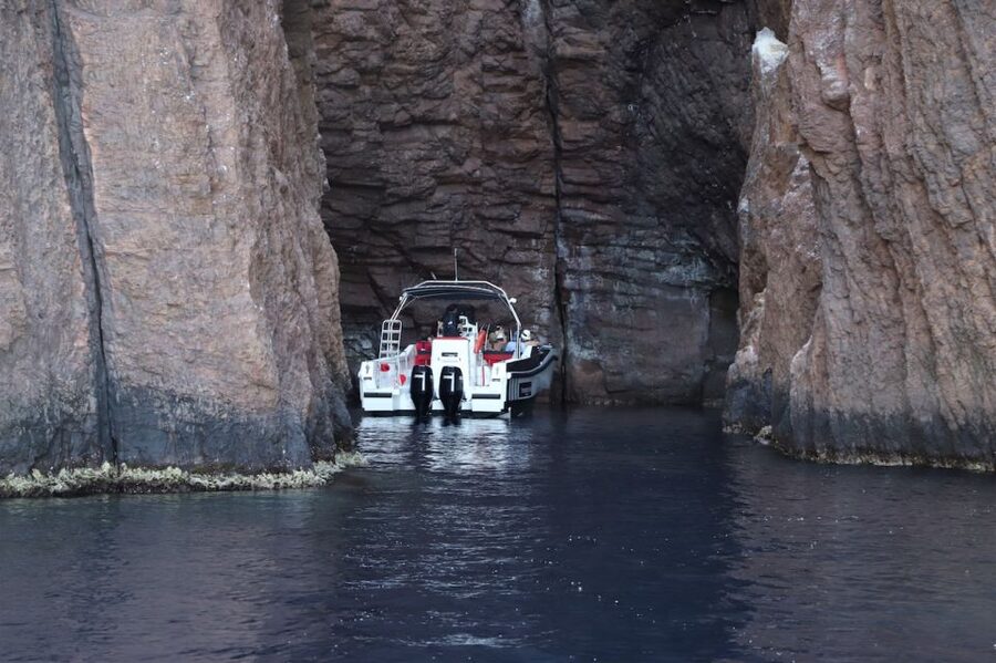 Calvi to Scandola: 4-Hour Boat Tour - The swim stop and masks: the easiest way to make the tour feel worth it