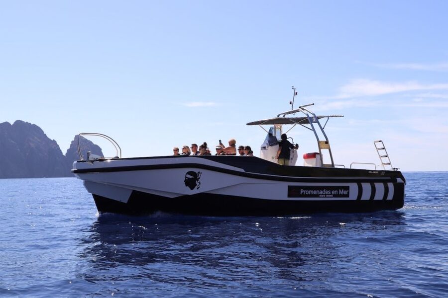 Calvi to Scandola: 4-Hour Boat Tour - Who this tour fits best (and who should think twice)