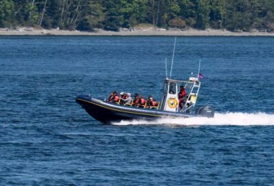 Campbell River: 4 Hour Whale & Wildlife Zodiac Boat Tour - Zodiac Comfort and Safety: What the Provided Gear Really Does