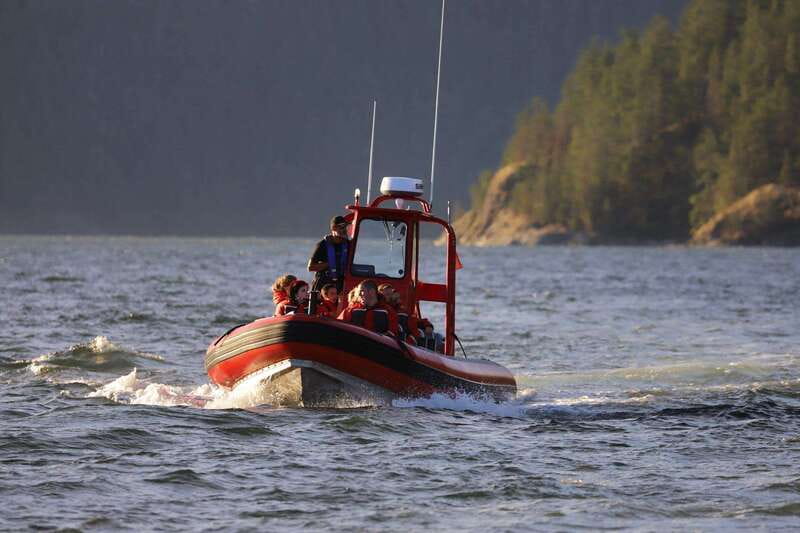 Campbell River: 6-Hour Whale Watching Boat Tour - Key moments that make this whale watching outing work