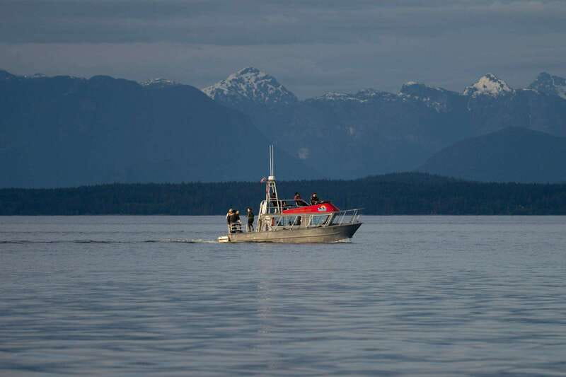 Campbell River: 6-Hour Whale Watching Boat Tour - Hydrophones: hearing whale calls when conditions allow