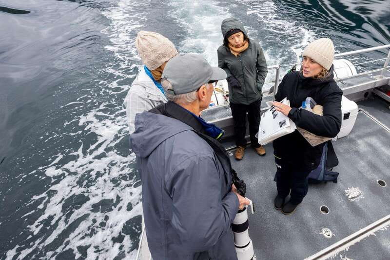 Campbell River: 6-Hour Whale Watching Boat Tour - Where to meet at Discovery Harbour Marina and how to park