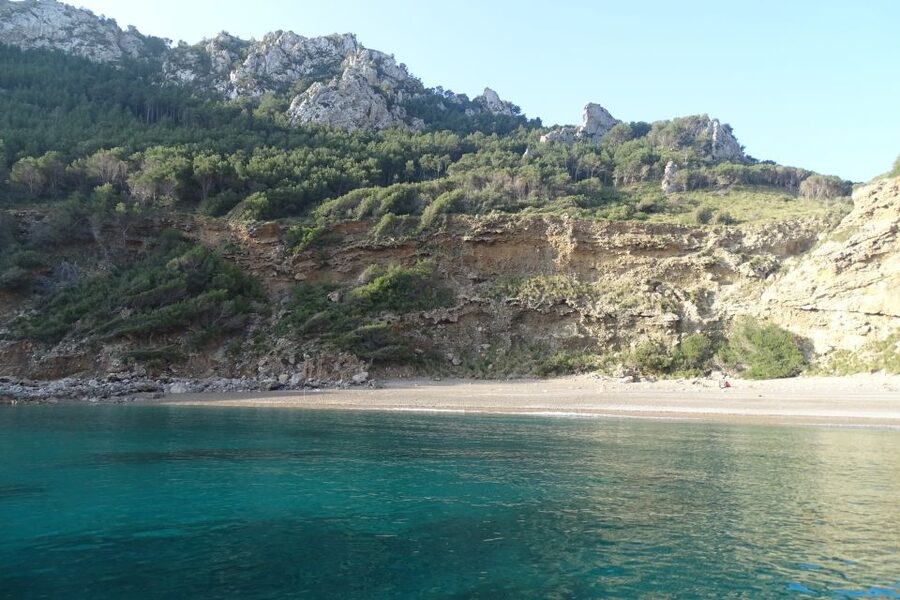 Can Picafort: Dolphin Watching Boat Tour, Swimming stop - The northern coastline sights (including Cap de Formentor views)