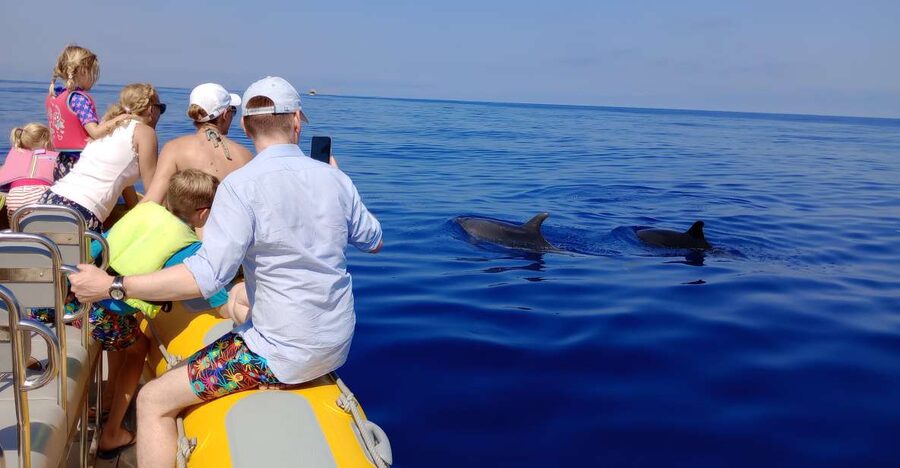 Can Picafort: Dolphin Watching Boat Tour, Swimming stop - The ride out: Can Picafort Marina to the dolphin search