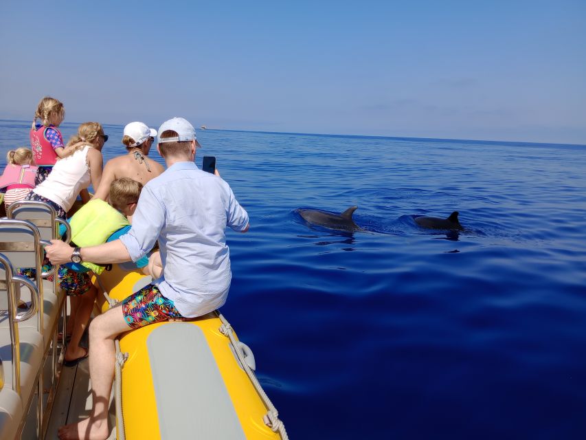 Can Picafort: Dolphin Watching Boat Tour with Swimming - Northern Mallorca coast views, with Cap de Formentor as a bonus