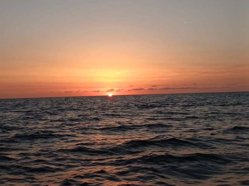 Can Picafort: Dolphin Watching Boat Tour with Swimming - What to bring (and what to wear) for a smoother 3 hours