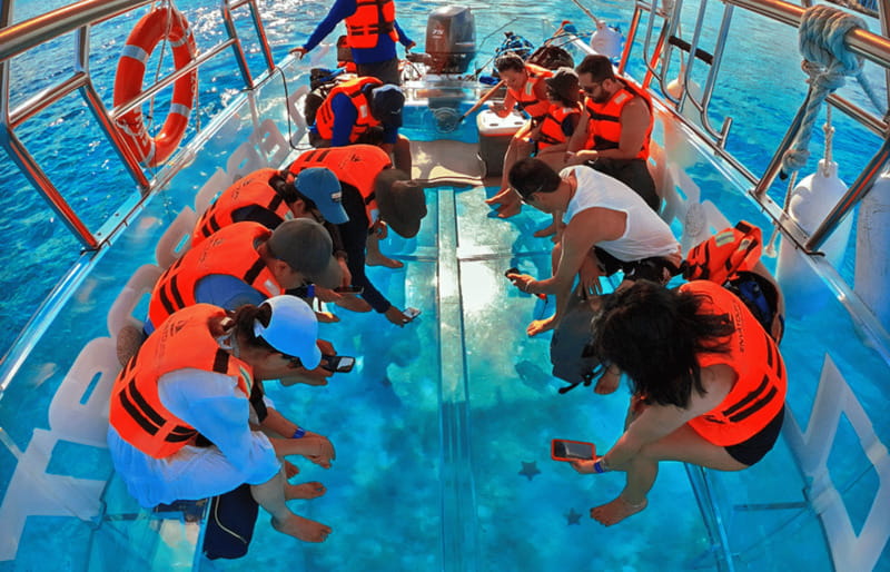 Cancún: Nichupté Lagoon Transparent Boat Tour with Drinks - Marine Life Viewing for 25 Minutes: What You Might See Below