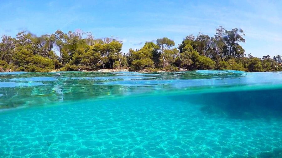 Cannes: Private Boat Trip to Lerins Islands & Cap d'Antibes - Who this private boat trip is best for