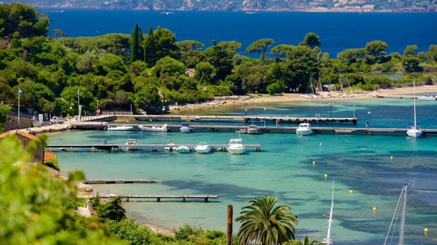 Cannes: Private Boat Trip to Lerins Islands & Cap d'Antibes - Getting on board at Camille Rayon Marina and meeting Philippe