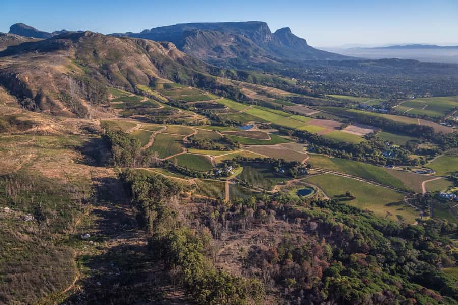 Cape Town: 2 Oceans Helicopter Flight with Boat Tour Ticket - The bottom line: should you book this 2 Oceans flight plus boat tour?