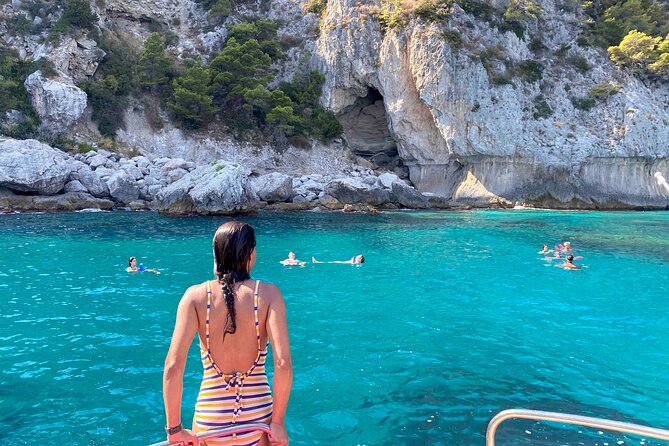 Capri Boat Tour with Optional Blue Grotto Visit from Sorrento - Stop 1 at Punta Campanella Marine Park: dolphins, sea turtles, and a quick warm-up