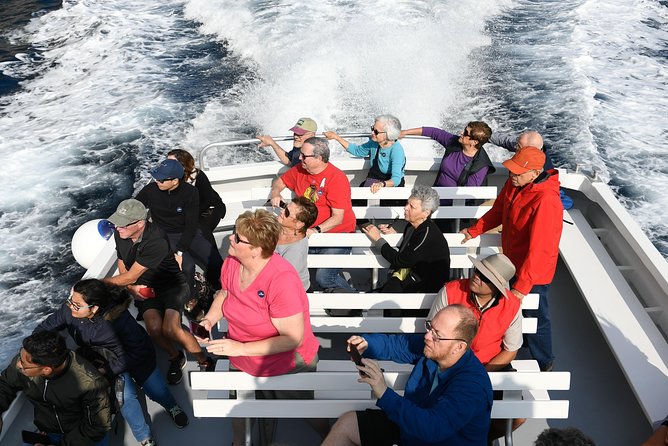 Capri Coast to Coast: Boat Tour with Optional Blue Grotto - The sights you cruise past: Faraglioni, Love Arch, Natural Arch, and Villa Malaparte
