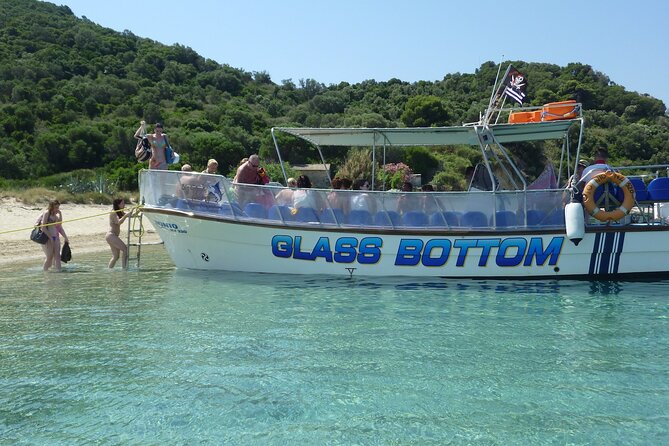 Caretta - Caretta Turtle Trip (Boat Trip) - How This 3-Hour Caretta Trip Works From Laganas