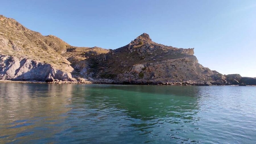 Cartagena: Guided boat tour to Isla de las Palomas - Price and Value: Why This Cartagena Boat Tour Feels Fair