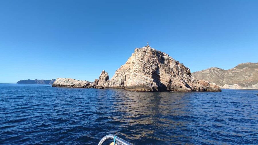 Cartagena: Guided boat tour to Isla de las Palomas - Isla de las Palomas: The Bird Sanctuary Finish (and Why It’s Special)