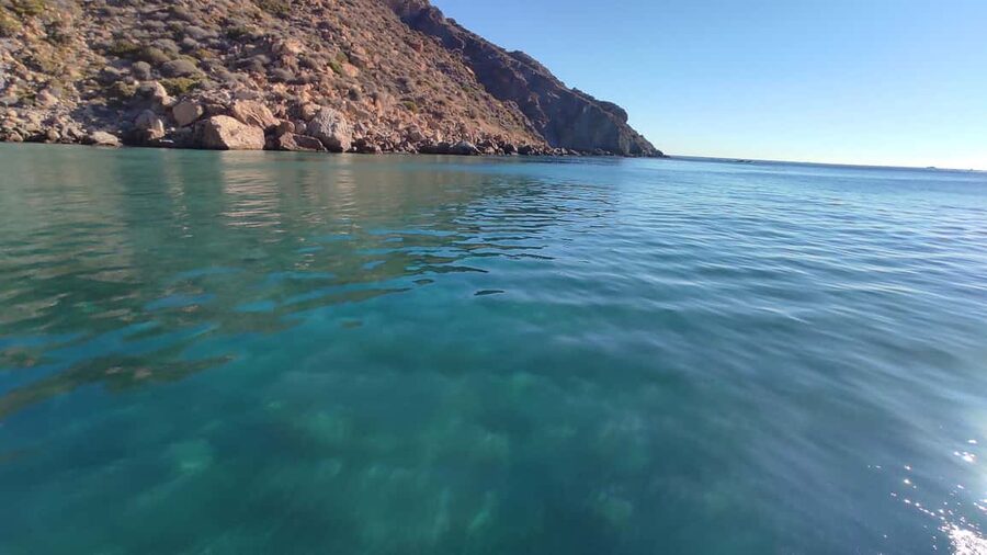 Cartagena: Guided boat tour to Isla de las Palomas - Sea Conditions and Route Adjustments: What to Expect If the Bay Changes