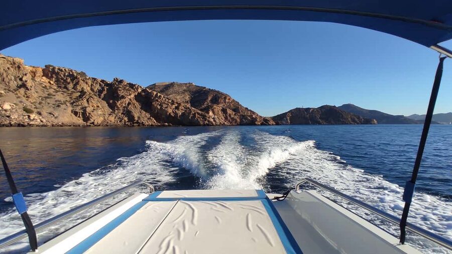Cartagena: Guided boat tour to Isla de las Palomas - A Small Boat Means Real Viewing: What Onboard Life Is Like