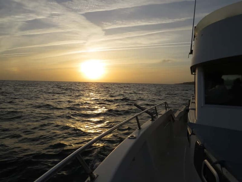 Cascais: Sunset Boat Trip with Welcome Drinks - Dreamboats Portugal and the marina vibe at Gate H