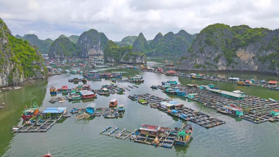 Cat Ba/Ha Noi: Lan Ha and Monkey Island Full Day Boat Trip - Guides, group vibe, and why small details affect your day