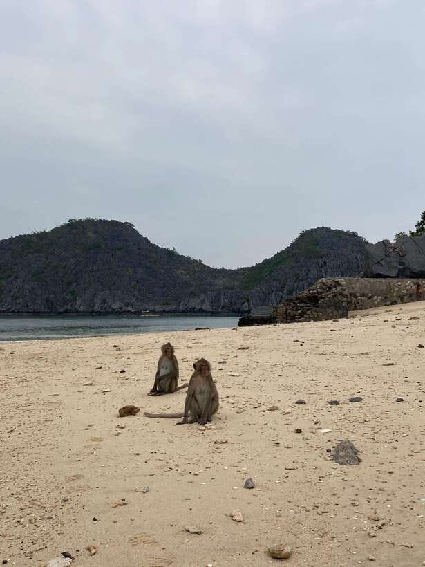Cat Ba : Lan Ha Bay Bioluminescent Plankton Kayak Boat Tour - Key Things You’ll Notice on This Tour