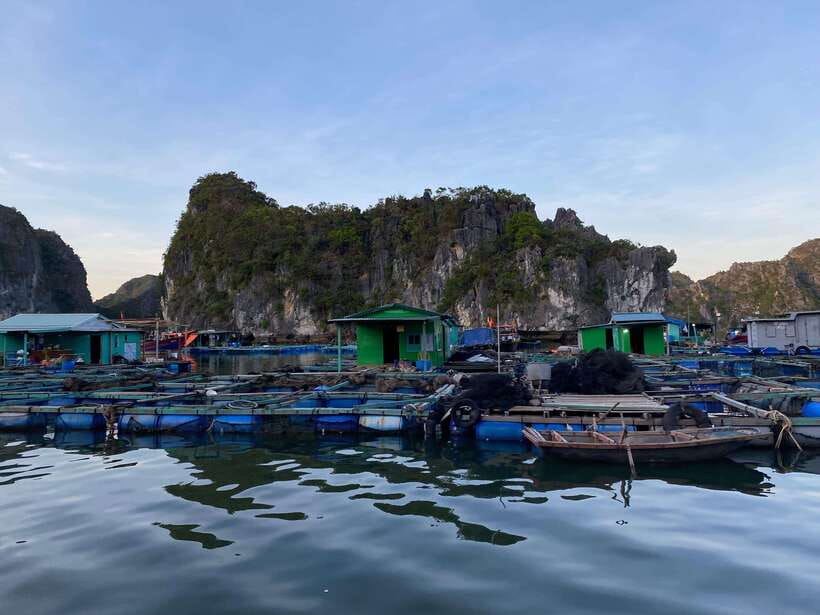 Cat Ba : Lan Ha Bay Bioluminescent Plankton Kayak Boat Tour - Cat Ba After-Sunset Kayaking: What Makes It Special