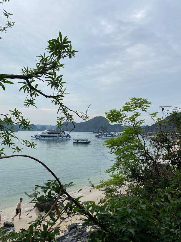 Cat Ba : Lan Ha Bay Bioluminescent Plankton Kayak Boat Tour - Sunset Swim and the 10–12 Meter Rock Jump
