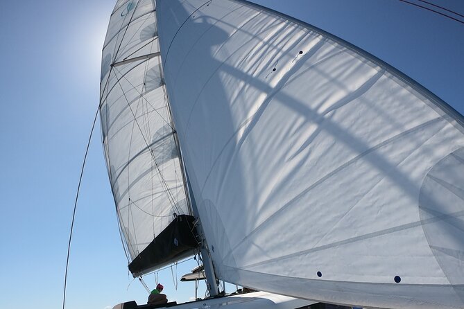 Catamaran Alghero, Catamaran Sailing Day Trip - Why the Small Group (12 Max) Matters More Than You Think