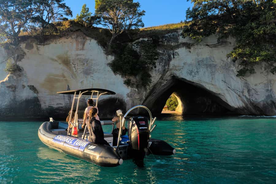 Cathedral Cove Marine Reserve: Snorkeling Boat Trip - Key highlights at a glance