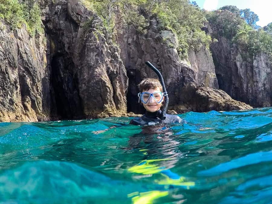Cathedral Cove Marine Reserve: Snorkeling Boat Trip - Hahei Launch: What Makes This Area Work for Snorkelers