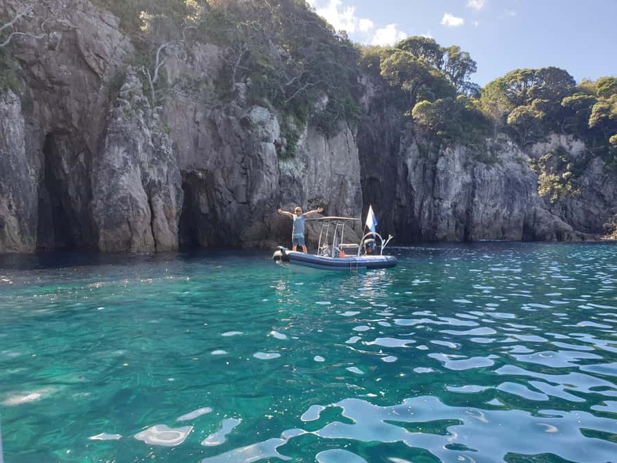 Cathedral Cove Marine Reserve: Snorkeling Boat Trip - Underwater Expectation: Hahei and the Marine Reserve