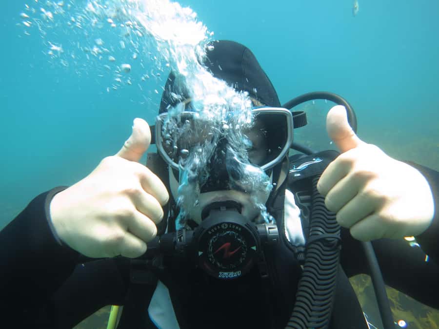Cathedral Cove Marine Reserve: Snorkeling Boat Trip - Special Deal: Keep the Snorkel Gear for the Rest of Your Day