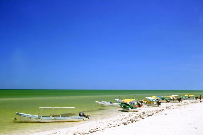 Celestun Beach and Mangrove Boat Ride from Merida - Key things that make this Celestun day worth it