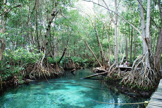 Celestun Beach and Mangrove Boat Ride from Merida - Entering the day at Celestun speed: pickup and timing that matters