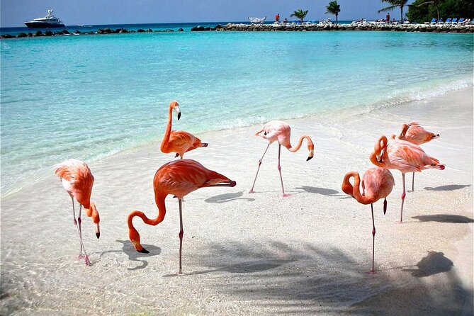Celestun Beach and Mangrove Boat Ride from Merida - Lunch logistics: what’s included and how to eat without surprises