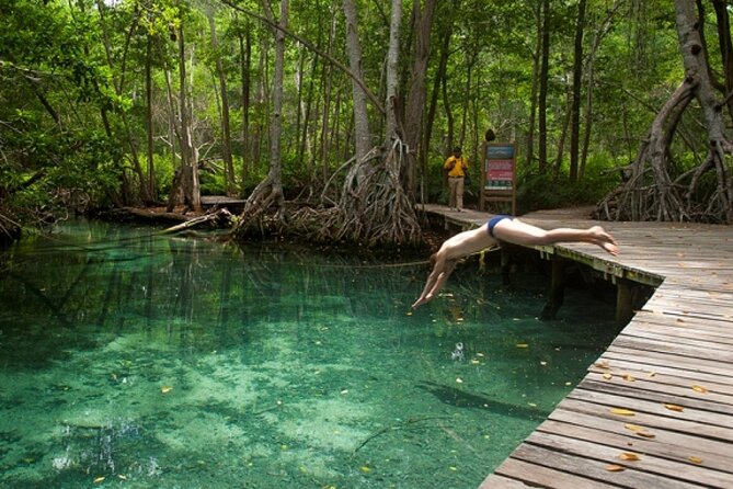 Celestun Beach and Mangrove Boat Ride from Merida - English on the day: guides, communication, and how to set yourself up