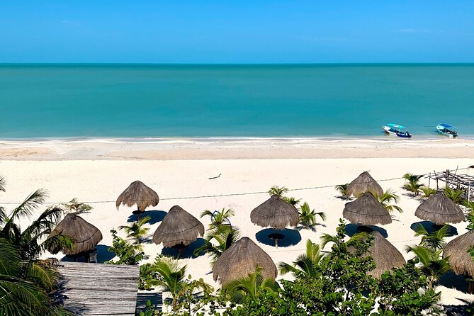 Celestun Beach and Mangrove Boat Ride from Merida - Who should book this Celestun excursion (and who should skip it)