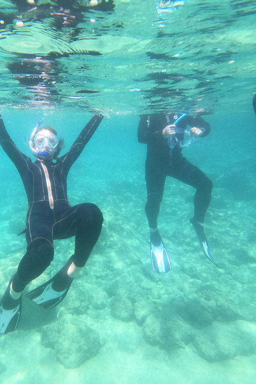 Chania: Boat Trip with Guided Snorkeling Tour - Price and value at $88: what you’re really paying for
