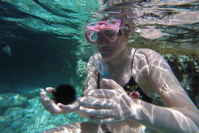 Chania: Boat Trip with Guided Snorkeling Tour & SUP - SUP on the schedule: when it happens and how to get ready