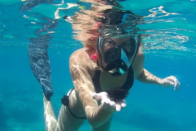Chania: Boat Trip with Guided Snorkeling Tour & SUP - Breaks, fruit, and the small perks that add up