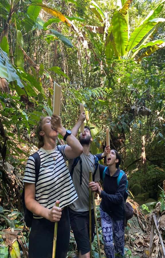 Chiang Rai: 1-Day Trekking and Longtail Boat Trip - Guides, small-group pace, and why Thor, Addy, and June matter